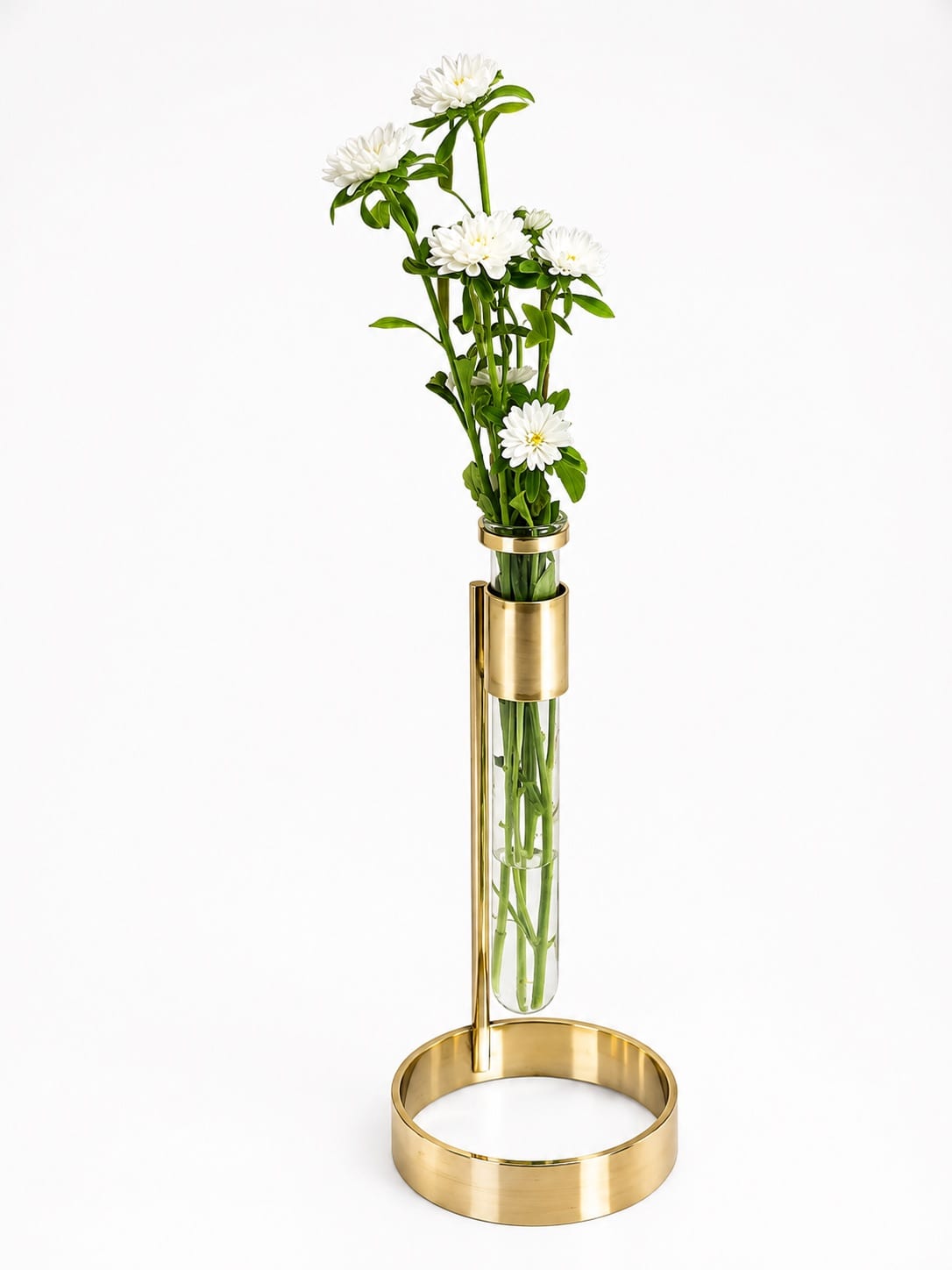 Vaso Antena
