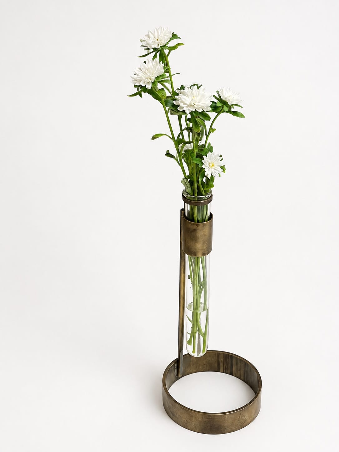 Vaso Antena — vista 2