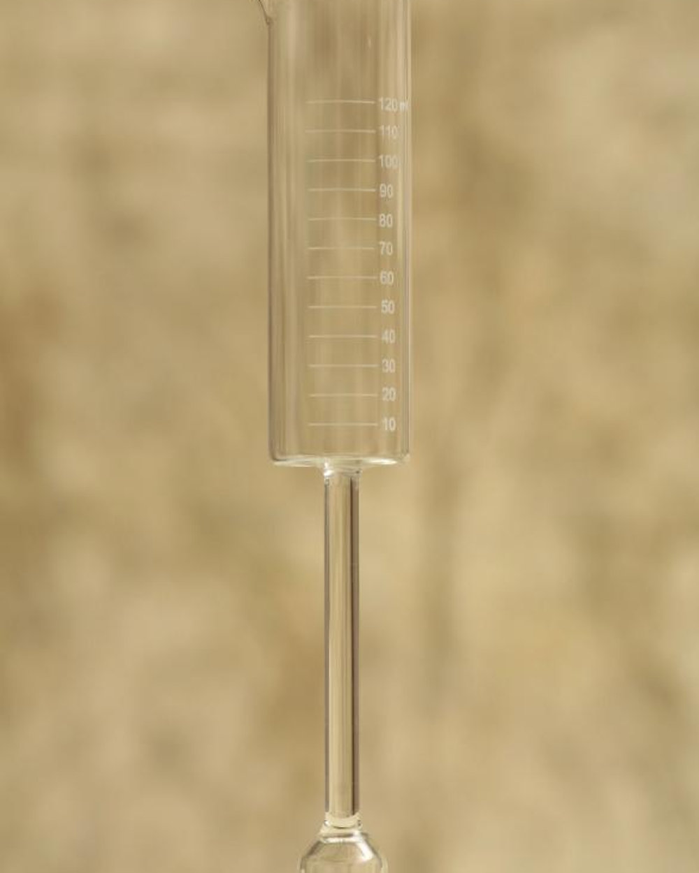 Taça Cacilda Flute — imagem de produto